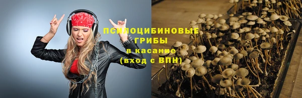 PSILOCYBIN Нея