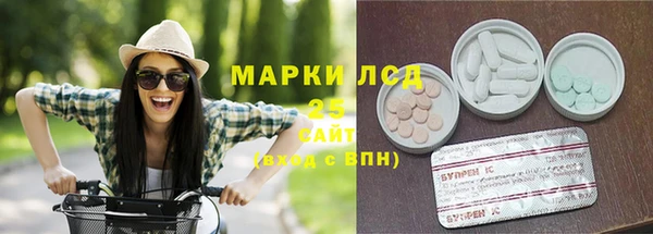 PSILOCYBIN Нея