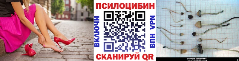 Псилоцибиновые грибы мухоморы  цена наркотик  Поронайск 
